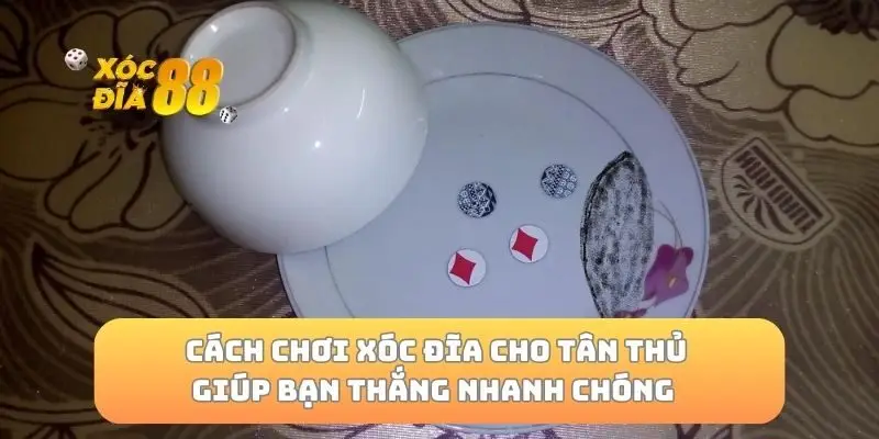 Cách chơi xóc đĩa cho tân thủ giúp bạn thắng nhanh chóng