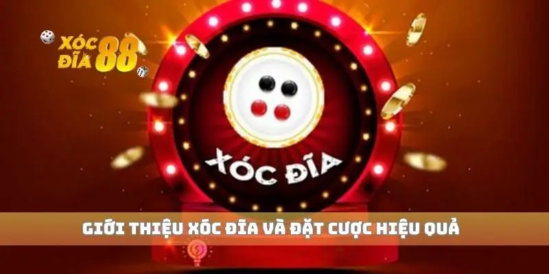 Giới thiệu xóc đĩa và đặt cược hiệu quả