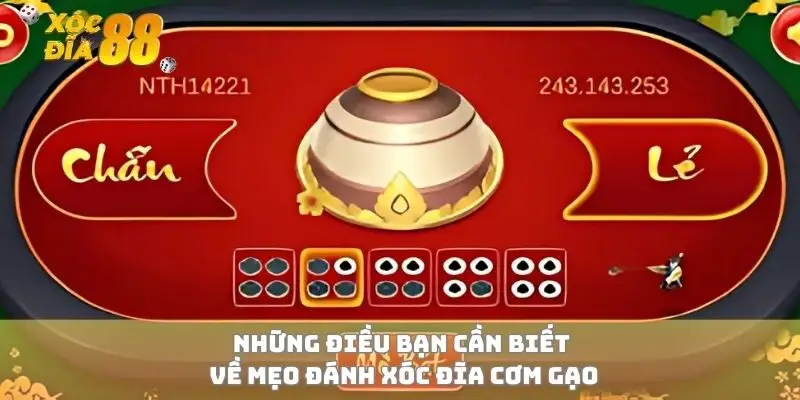 Những điều bạn cần biết về mẹo đánh xóc đĩa cơm gạo